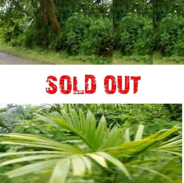 plot
